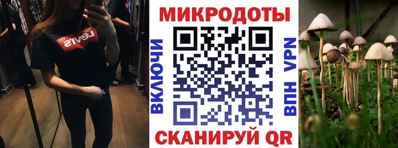 Галлюциногенные грибы прущие грибы  Чусовой 